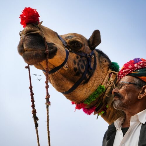 Pushkar