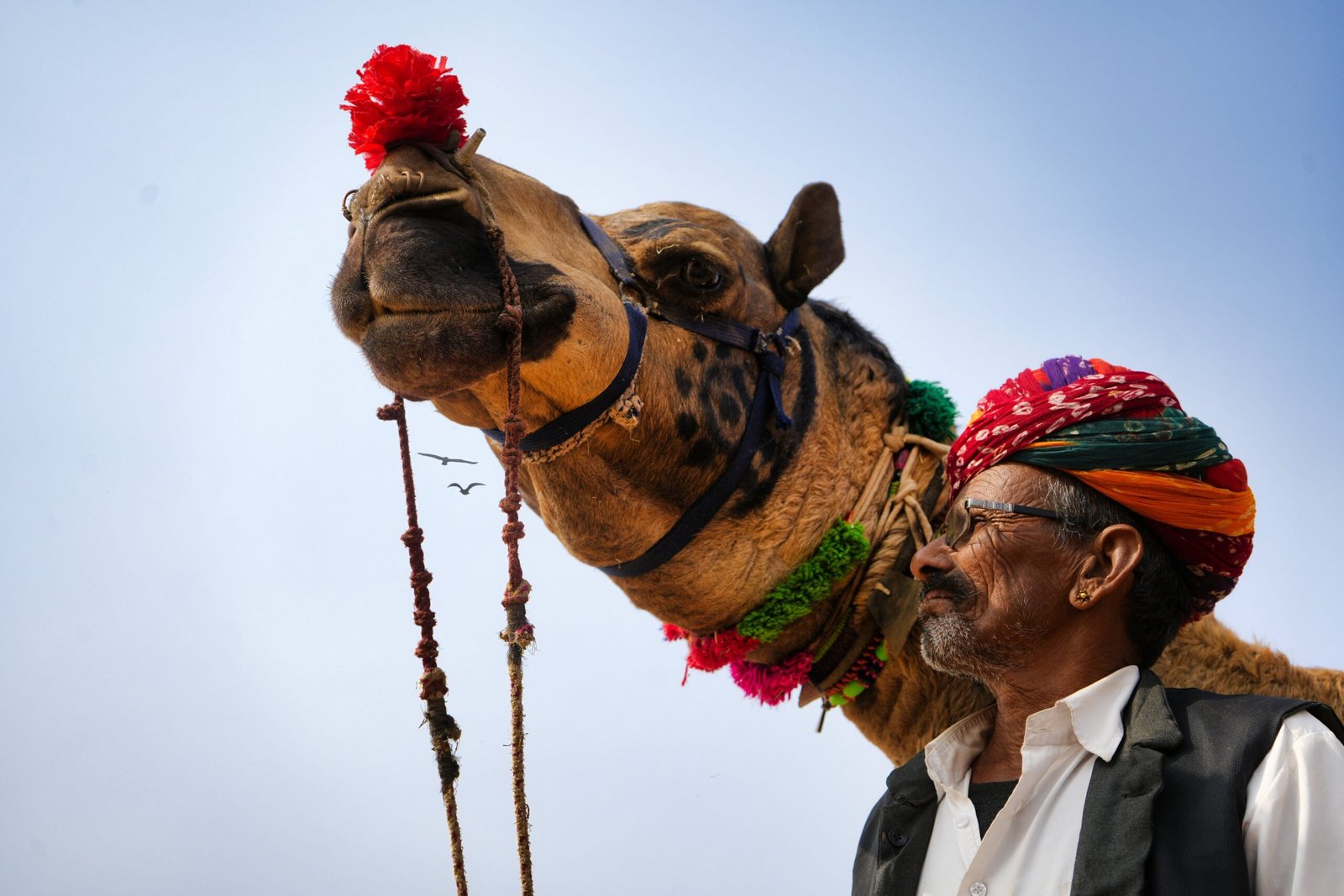 Pushkar